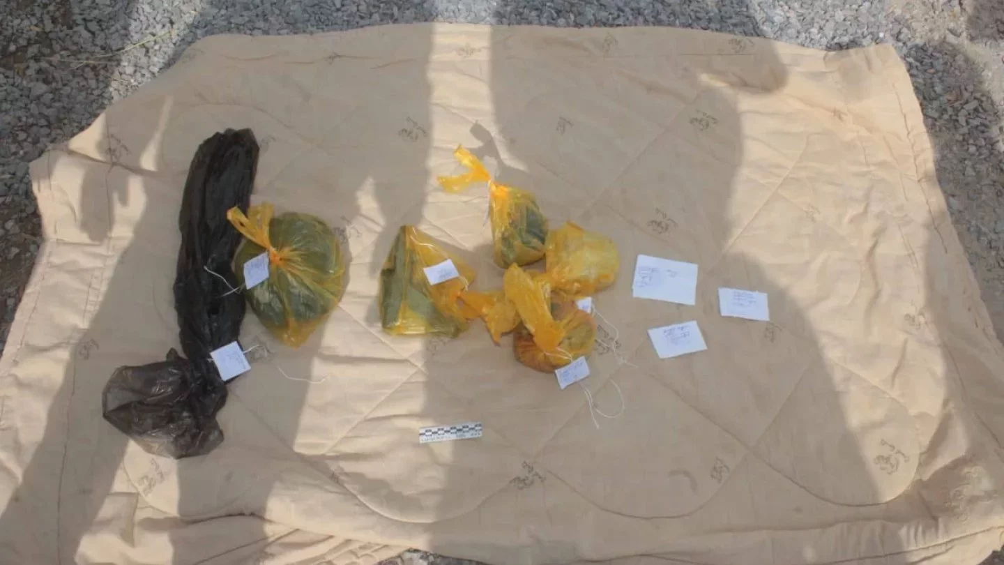 Транссексуалдар Пенза Ру