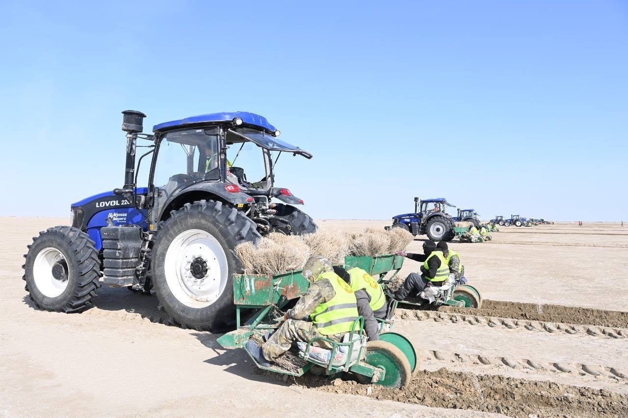Жасыл жемпірдегі порно