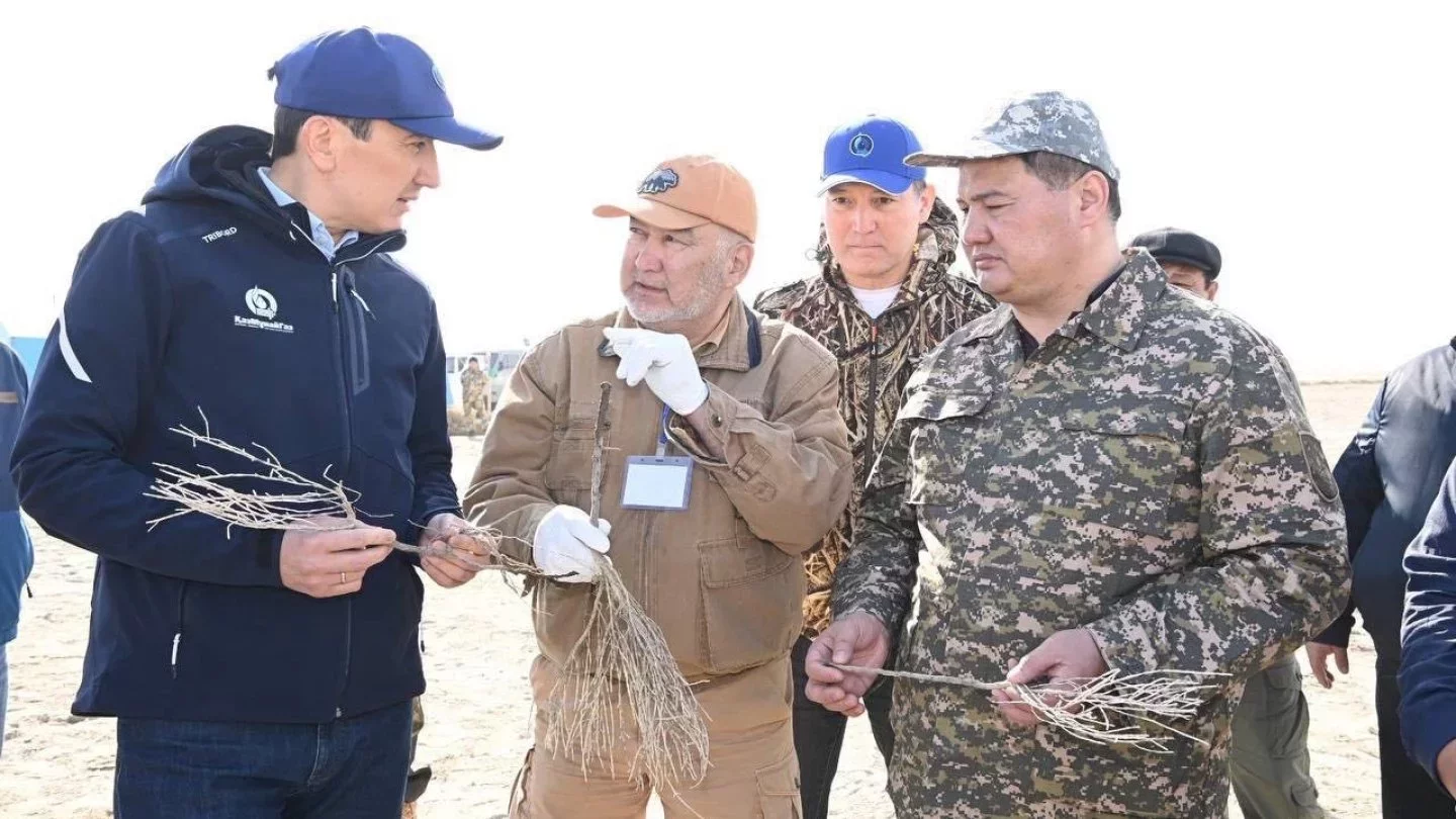 Порно-видео Дик в волосатые письки ірі планда