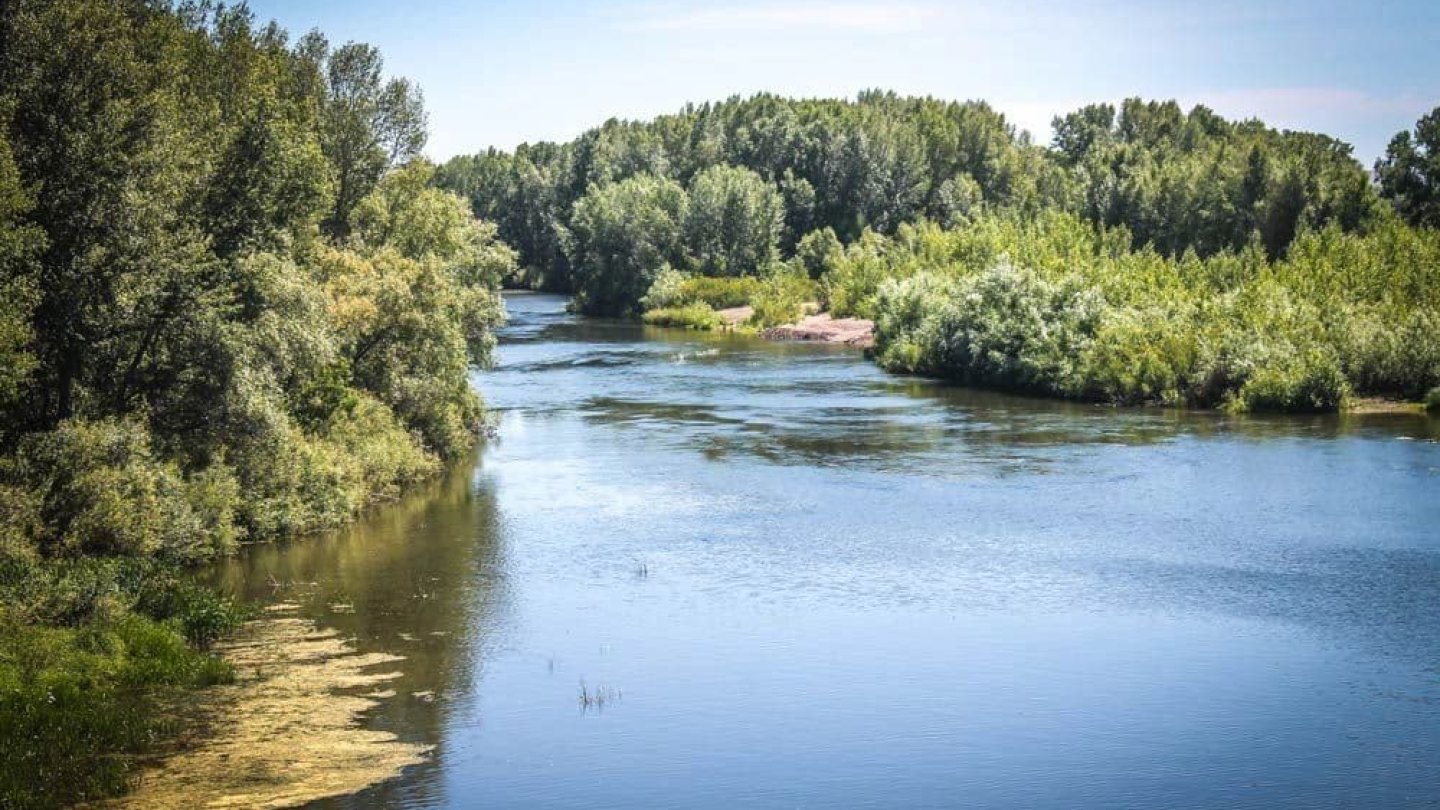 Река Урал Фото В Оренбургской Области