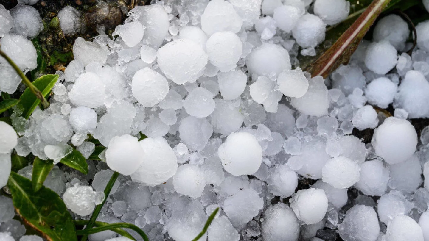 Жезөкшелер Алатырьге жақын араласады