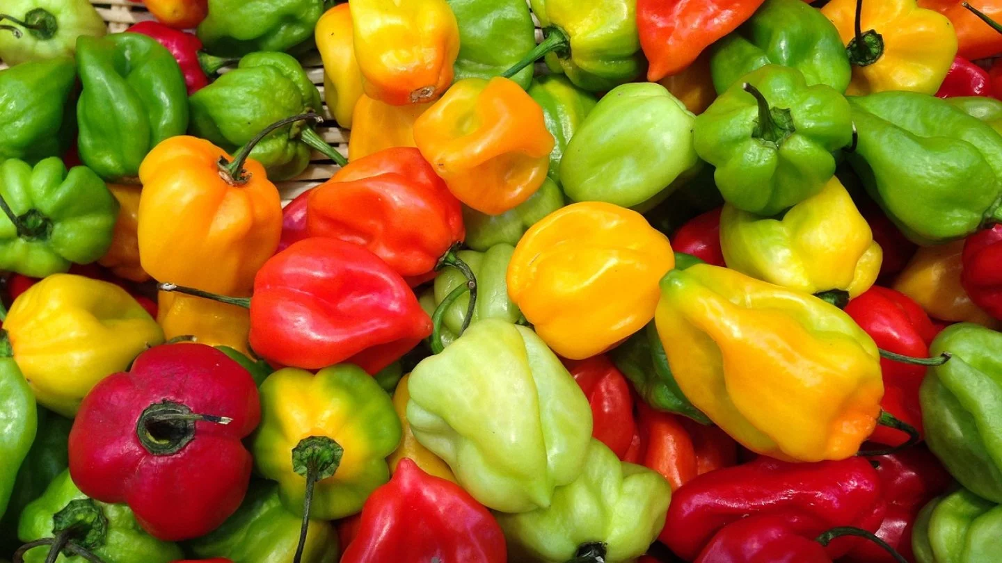 Гей порно қызықтар