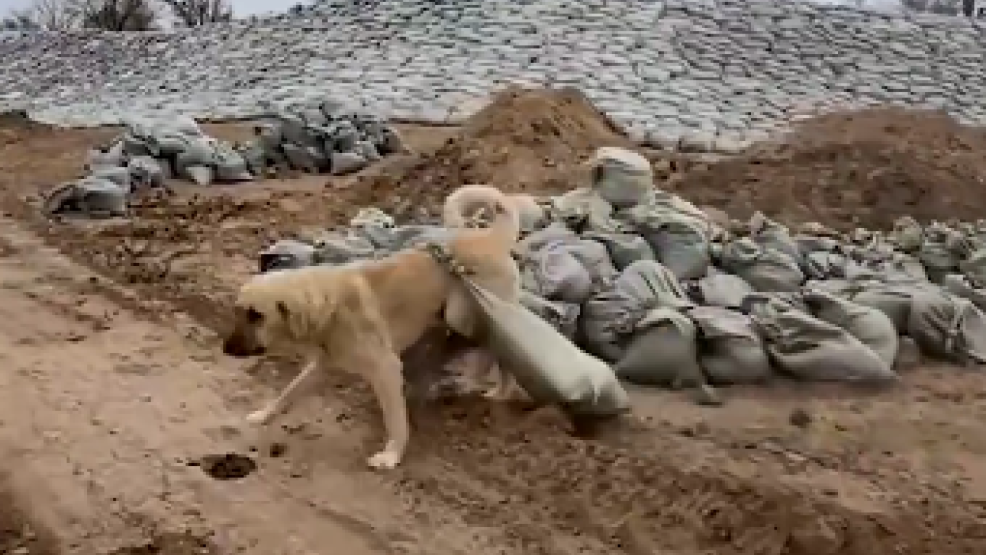 19 ғасырдағы порно видео