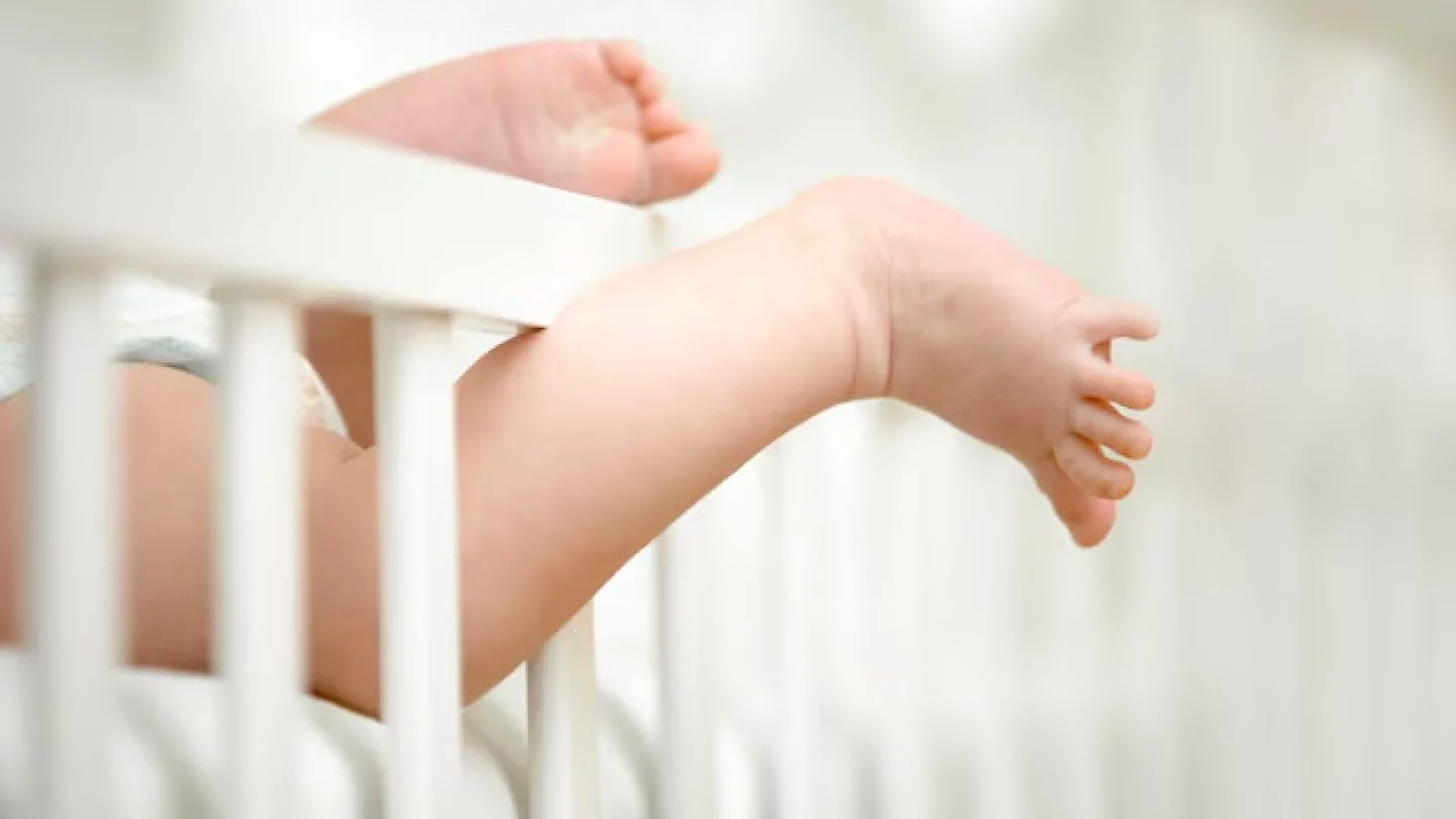 Алмұрт тәрізді кеудеге арналған порно