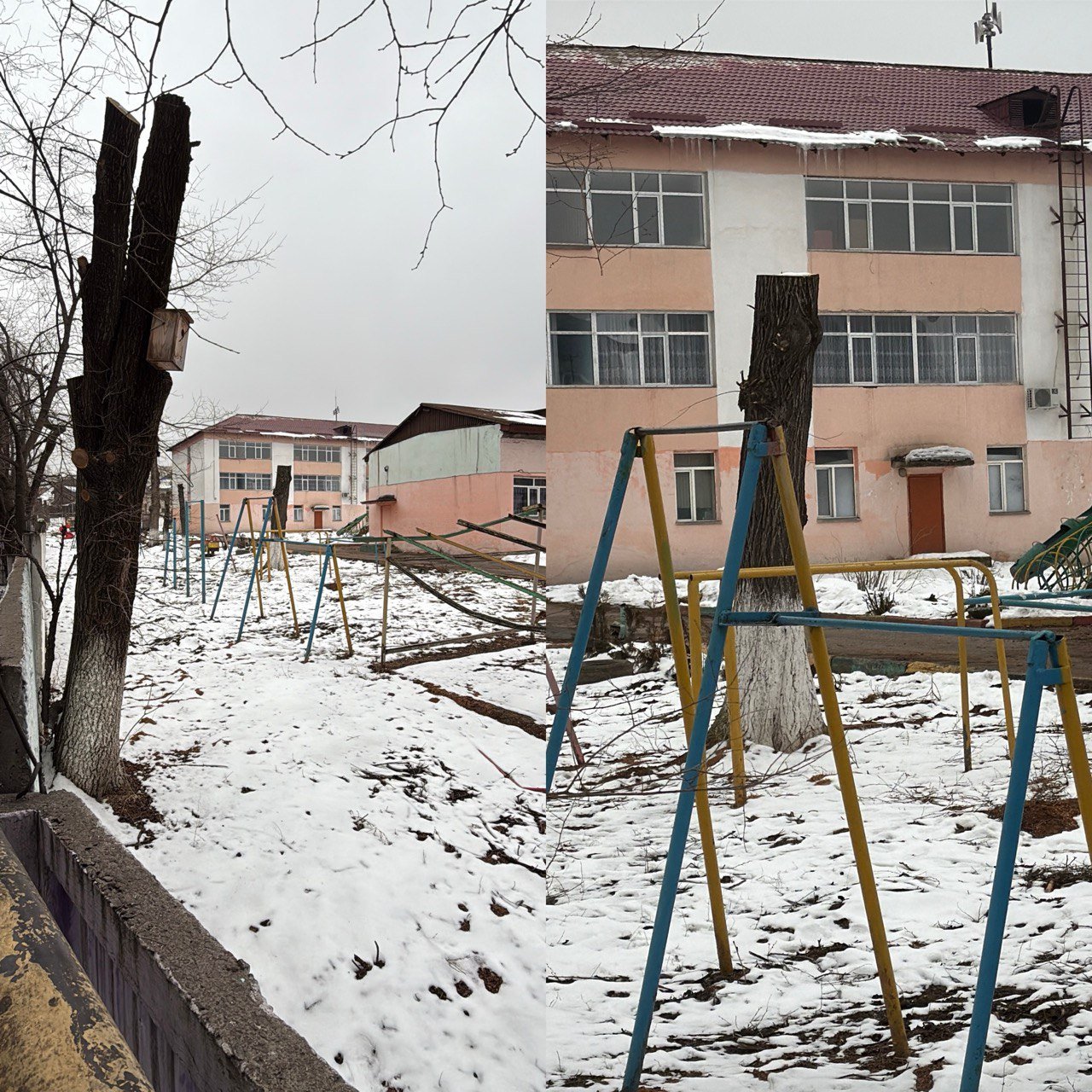 Ð¤Ð¾ÑÐ¾: Orda.kz I ÐºÐµÑÑÐ»Ð³ÐµÐ½ Ð°ÒÐ°ÑÑÐ°Ñ