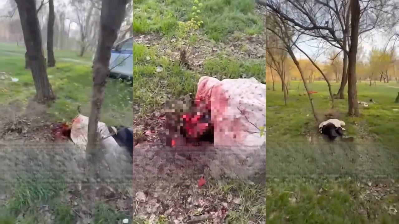 Ð¤Ð¾ÑÐ¾: ÐÐµÐ¹Ð½Ð´ÐµÐ½ ÐºÐ°Ð´Ñ