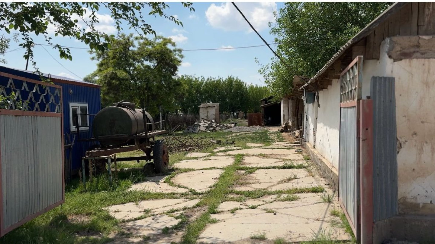 Аяқ фетиші Лиза Энн