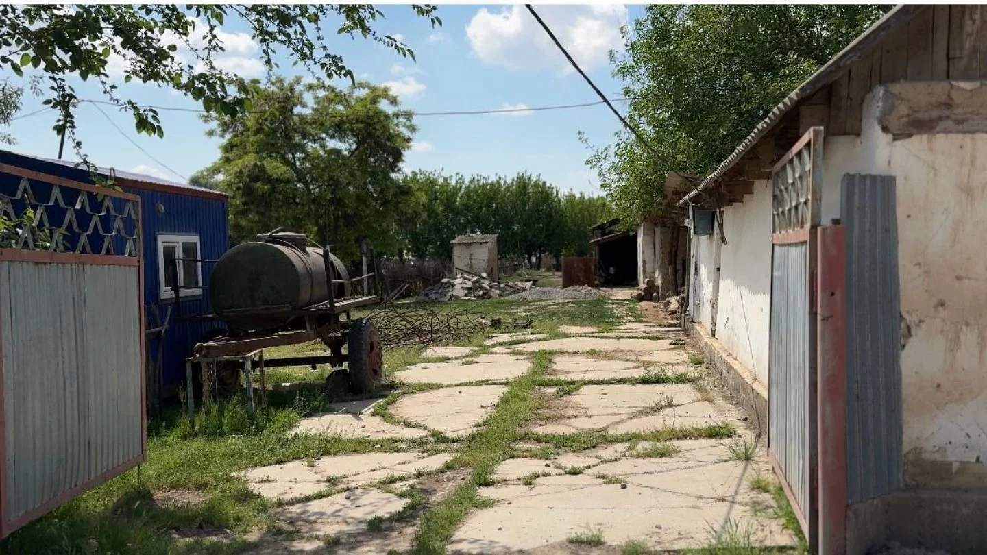 Шлюздер бейнелерін көру Мальта сұңқарына пародиялық порно