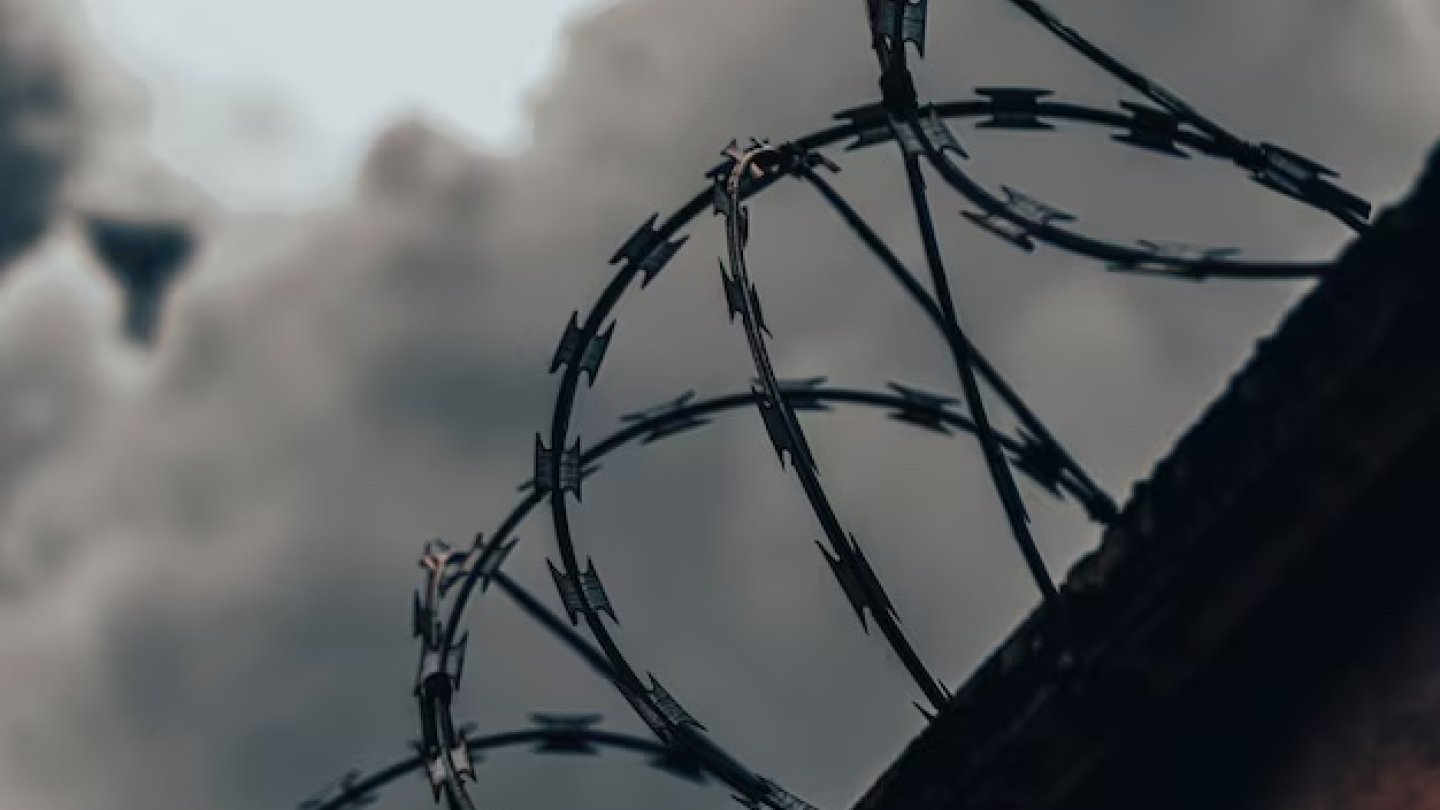 Несса Шин порно көру