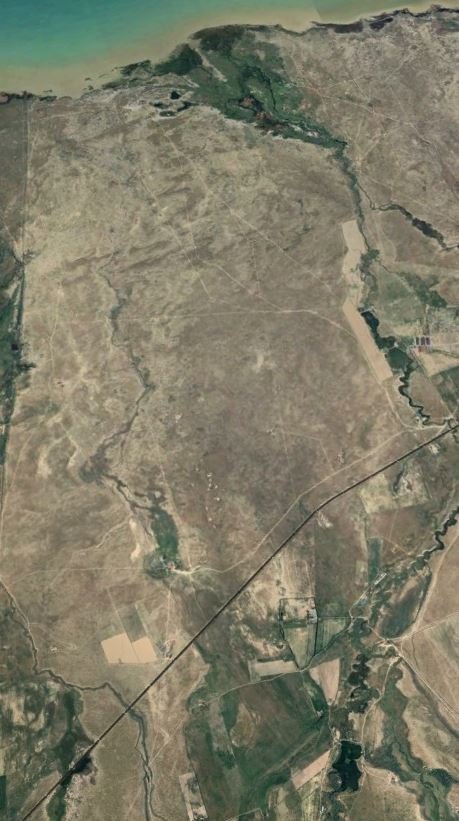 Ең порнографиялық купальниктер