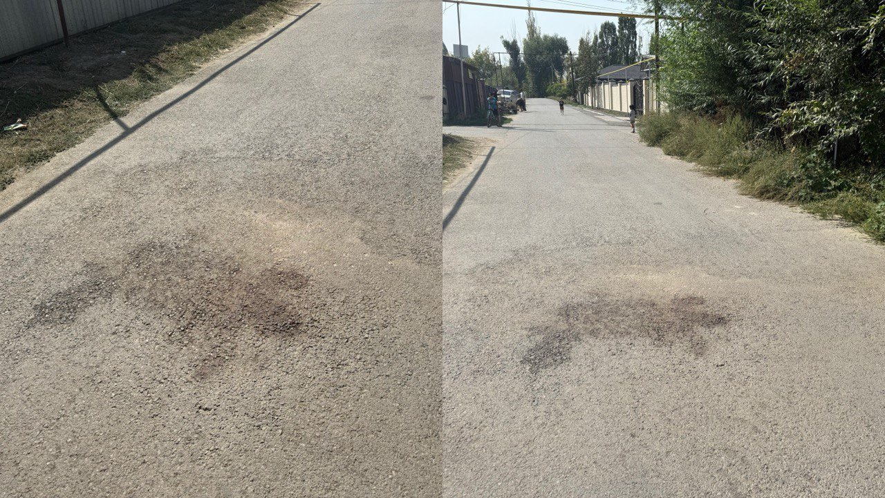 Әр түрлі мөлшердегі пискалардың фотосуреттері Нудист жағажайындағы жасырын камера порно видео