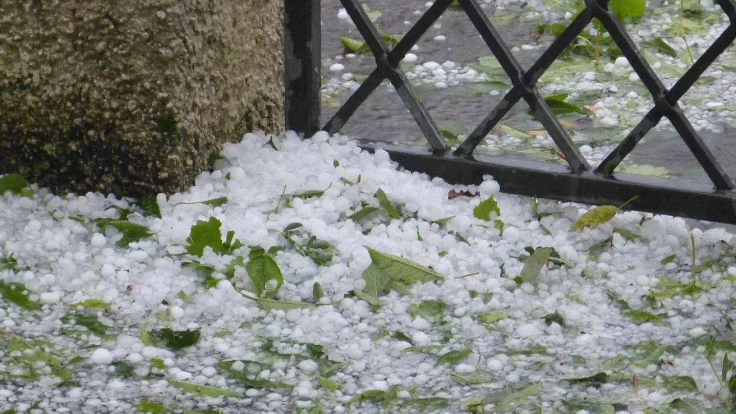 Брюнетка қолдарын байлап сорып жатыр