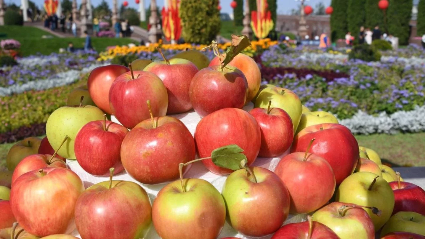 Жетілген әйелдердің зорлық-зомбылық оргазмы порно компиляциясы Жапон порно фильмдері