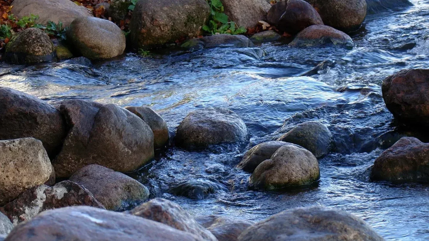 Жетілген ауылдың порно фотосуреттері