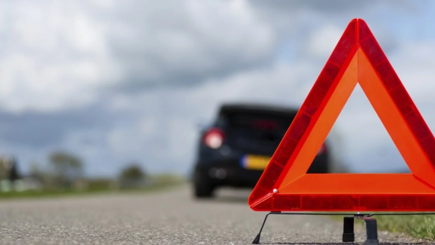 Көшеде бөкселермен жүру бейне