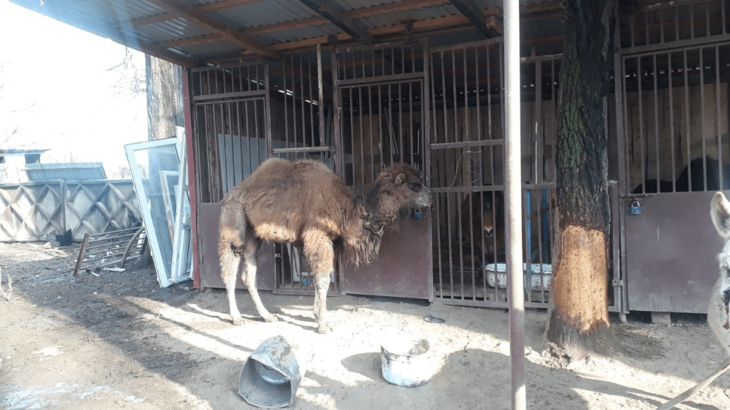 Ð­ÑÐ¾ Ð¸Ð·Ð¾Ð±ÑÐ°Ð¶ÐµÐ½Ð¸Ðµ Ð¸Ð¼ÐµÐµÑ Ð¿ÑÑÑÐ¾Ð¹ Ð°ÑÑÐ¸Ð±ÑÑ alt; ÐµÐ³Ð¾ Ð¸Ð¼Ñ ÑÐ°Ð¹Ð»Ð° - image-7-1024x576.png