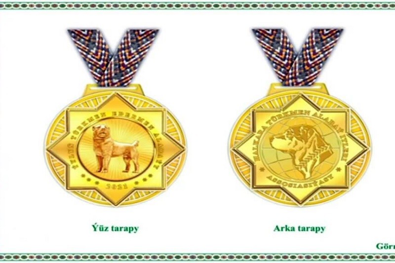 Жетілген жігіттерге арналған порно