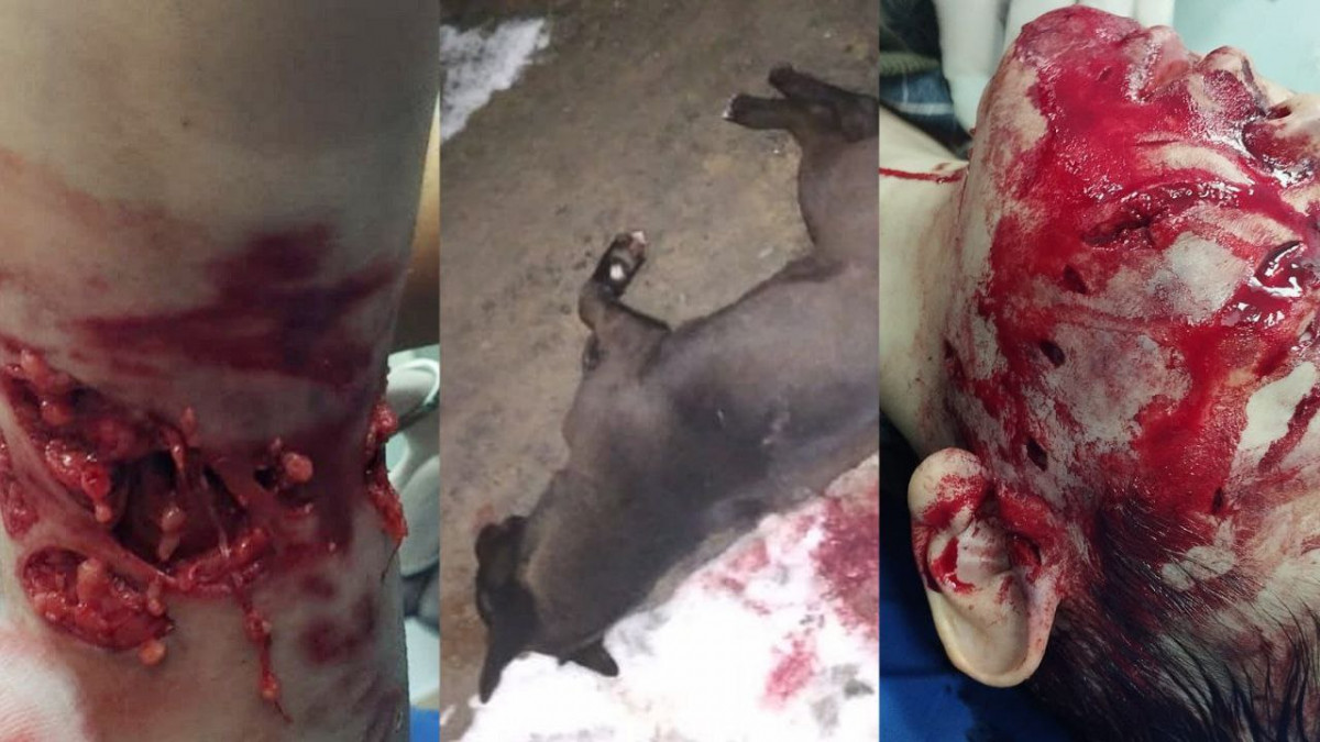 Тесс Линдон порно