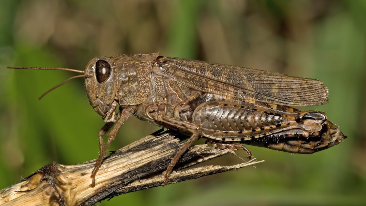 Орынбордағы свингер порно кеші