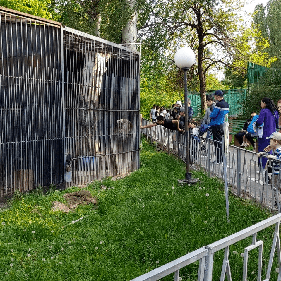 Алматылықтардың жануарларға жаны ашымайды