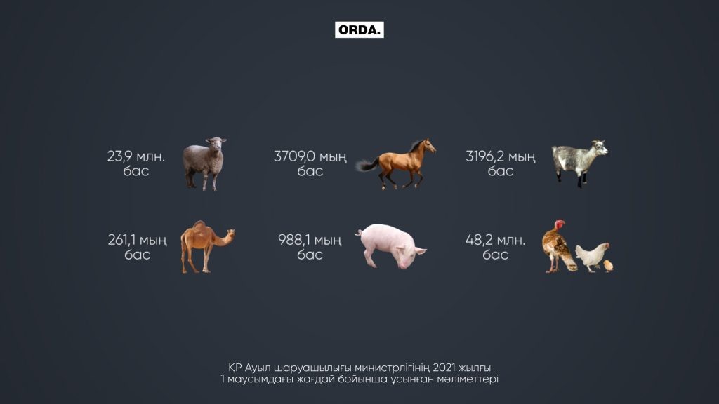 Малдың бәрін Өзбекстанға сатып, өзіміз көршімізден қарыз алайық!