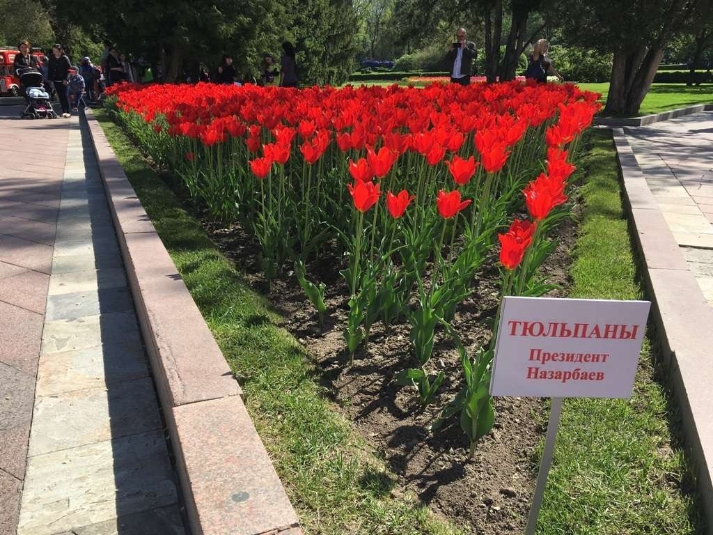 Назарбаевтың қызметтері мен оның құрметіне берілген атаулар