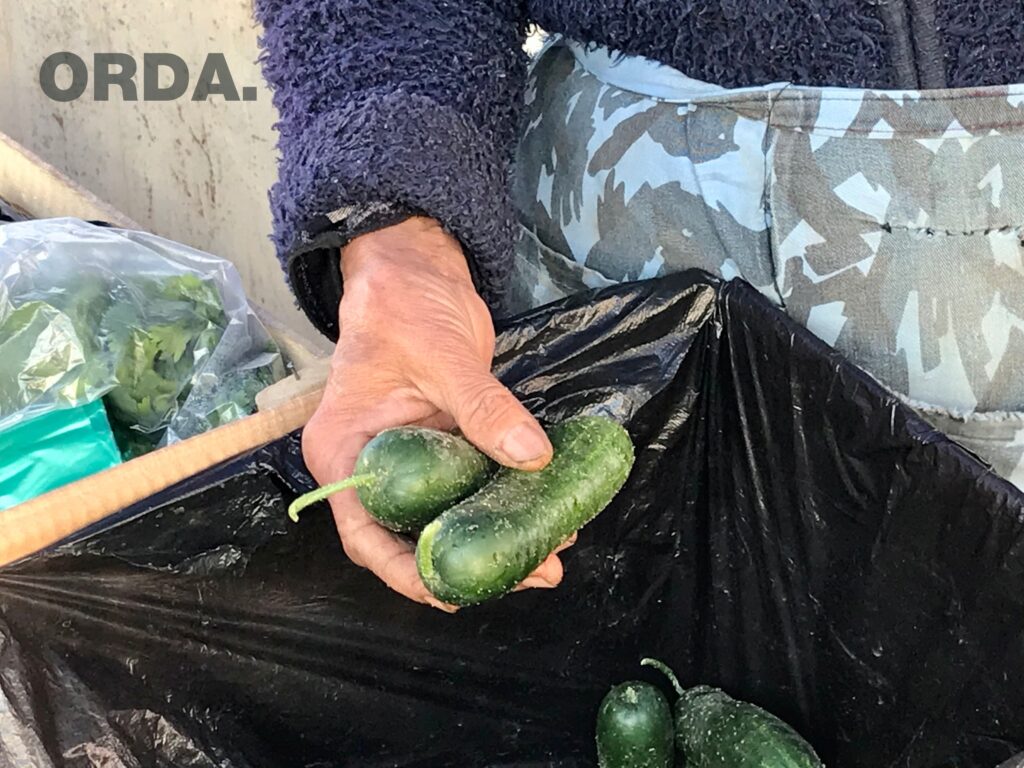 Қазақстандағы қарттардың күйбең тіршілігі (фоторепортаж)