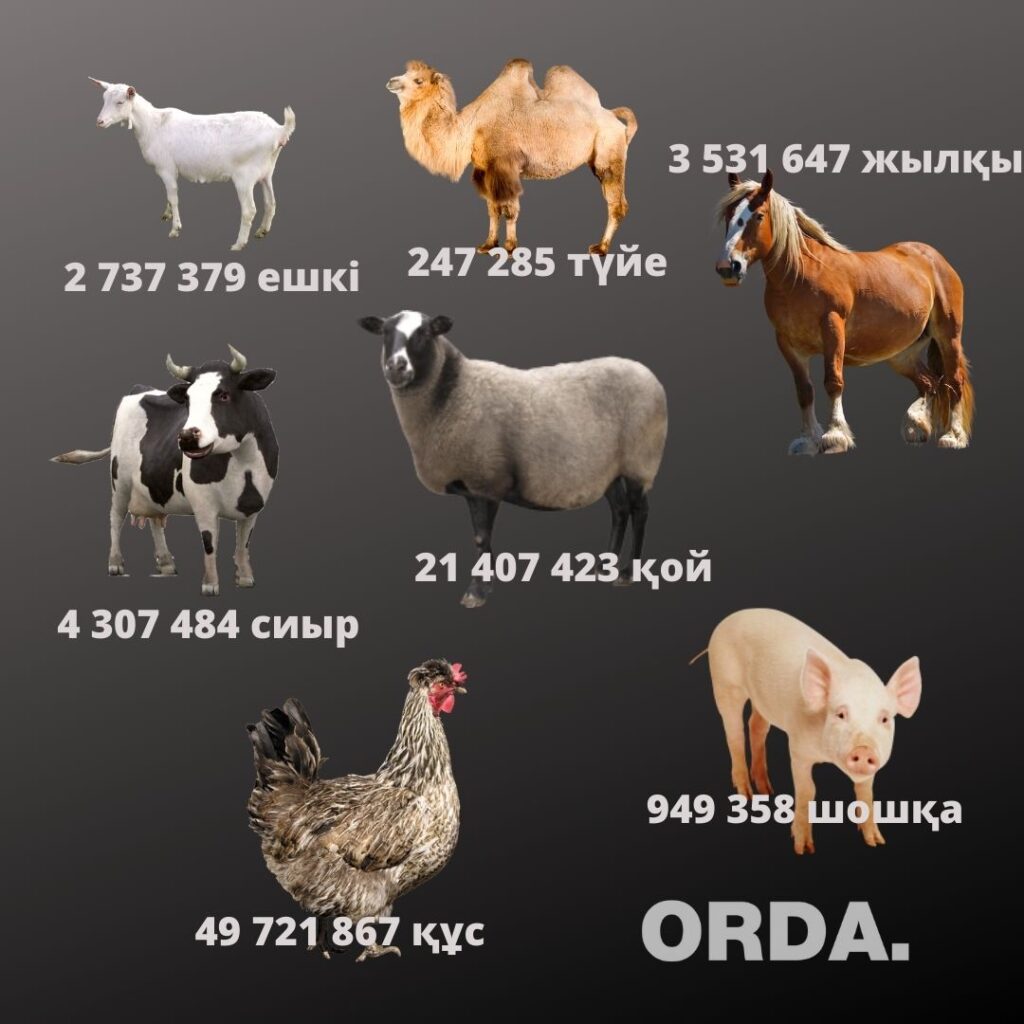 Құжат жүзінде 100% дайын дегені 5% екен: ел қыстауға дайын ба?