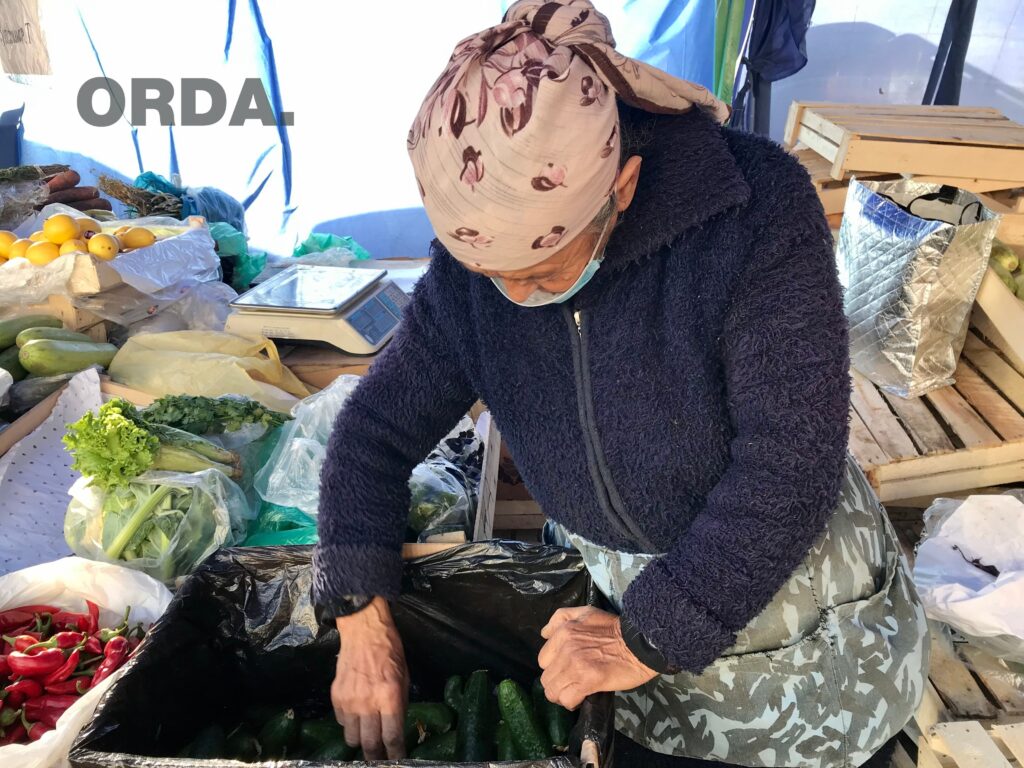 Қазақстандағы қарттардың күйбең тіршілігі (фоторепортаж)